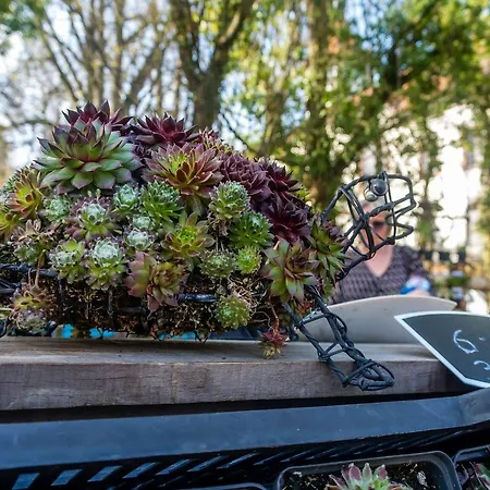 Travel Homes - Le Rebberg, Superbe Vue A Appartement