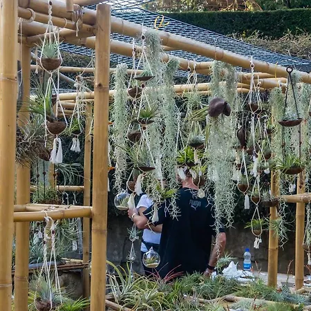 Travel Homes - Le Rebberg, Superbe Vue A * Mulhouse