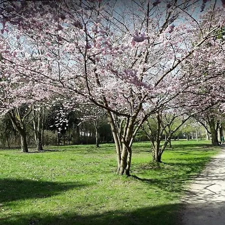 Travel Homes - Le Rebberg, Superbe Vue A Appartement *