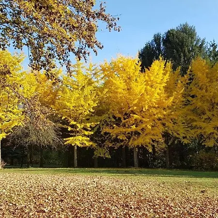 Travel Homes - Le Rebberg, Superbe Vue A