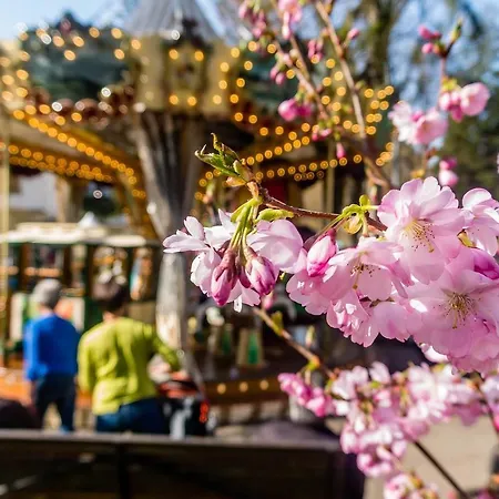 Travel Homes - Le Rebberg, Superbe Vue A Apartmán Mylhúzy